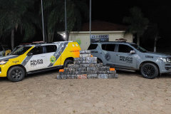 Ação policial recupera veículo roubado e apreende 478 quilos de droga em Porto Rico