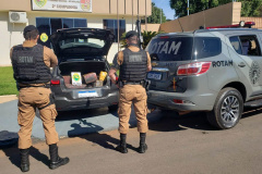  Polícia Militar apreende quase 160 quilos de drogas em Cafezal do Sul