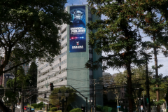  Número de furtos cai 6,3% no primeiro semestre no Paraná, média de 31 a menos por dia