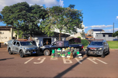 Polícia Militar apreende 850 quilos de droga em área rural de Toledo