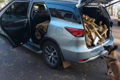 Batalhão de Polícia Rodoviária apreende 315 quilos de maconha em operação na PR-281.