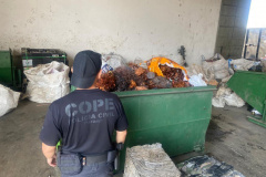 PCPR cumpre dois mandados de busca contra receptação de cabos de energia na Capital