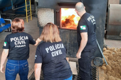 PCPR incinera 900 quilos de drogas em Maringá