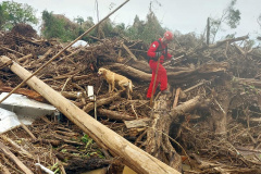 Paraná renova equipe no domingo e mantém missão de apoio ao Rio Grande do Sul