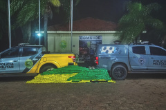 PM apreende 510 kg de maconha em Planaltina do Paraná