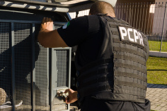 PCPR prende homem em flagrante por descumprimento de medida protetiva em Carambeí