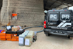  PCPR incinera 600 quilos de drogas em Almirante Tamandaré 