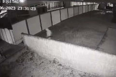 Polícia Civil prende suspeito de furtos em CMEIs de Curitiba