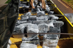 Polícia Militar apreende 2.200 kg de maconha durante operação em Corbélia