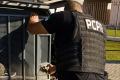 PCPR e PCSP deflagram operação contra organização criminosa ligada a invasão de dispositivos informáticos