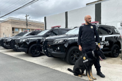 PCPR recebe sete novas viaturas blindadas para Núcleo de Operações com Cães