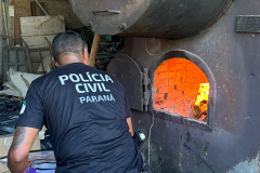  PCPR incinera 79,3 quilos de drogas apreendidas no Litoral do Estado 