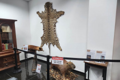  Polícia Científica leva exposição sobre crimes ambientais para Matinhos e Guaratuba