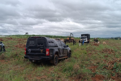 Operação Protetor resgata trabalhadores em situação análoga à escravidão no noroeste do Estado
