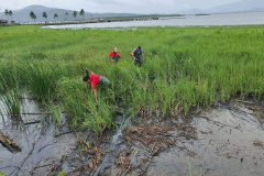 PCPR esclarece homicídio e cumpre mandado de prisão preventiva em Antonina