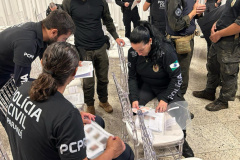 PCPR prende 17 pessoas por tráfico de drogas durante operação em Coronel Vivida