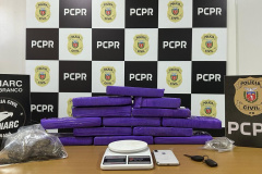 PCPR apreende mais de dez quilos de maconha e prende homem em flagrante em Vitorino