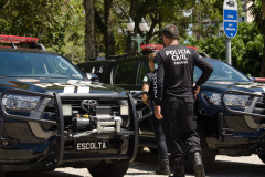  PCPR apreende 827 quilos de maconha em Curitiba 