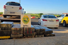 Batalhão de Polícia Rodoviária apreende 255 quilos de maconha 