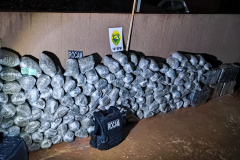 PMPR descobre esconderijo de maconha após denúncia no 181 