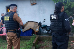 Paraná foi o estado que mais apreendeu maconha nos três primeiros meses de 2024