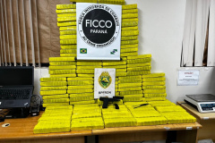 Operação COSUD: BPFRON da PMPR obtém expressivos resultados no combate ao crime organizado