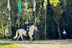 Terapia com cavalos da PMPR colabora na qualidade de vida de pessoas com deficiência