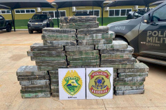 Operação Protetor: polícia apreende 1.350 kg de maconha em Cruzeiro do Oeste e Guaíra
