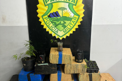 PMPR apreende homem com quase 300 kg de maconha em Curitiba