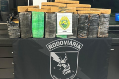 PMPR apreende mais de 200 quilos de maconha em Cruzeiro do Oeste