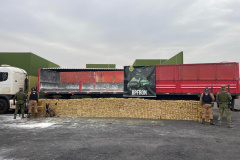 PMPR apreende 4,1 toneladas de maconha em Toledo e Umuarama