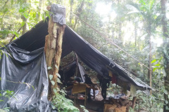 IAT e Força Verde desmobilizam acampamento de caçadores dentro do Pico do Marumbi