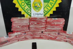 PMPR prende casal na rodoviária de Curitiba com 35 kg de maconha em malas