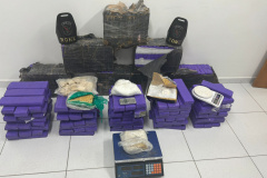 PMPR apreende drogas durante abordagem a veículo suspeito em São José dos Pinhais