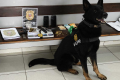 PCPR prende três homens por envolvimento em homicídio ocorrido em Guarapuava