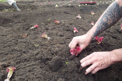 Cuidado humanizado: iniciativas da PPPR para um tratamento penal eficaz no Complexo Médico Penal