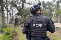 PCPR prende 12 pessoas em operação contra o tráfico de drogas em quatro cidades