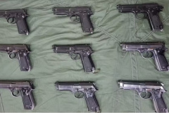 Operação Conjunta das Forças de Segurança recupera armas furtadas em Cascavel