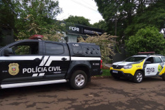 PCPR e PMPR realizam operação contra furto de carneiros em Iretama