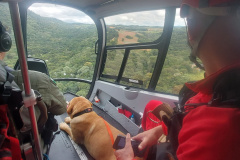 Diversão segura: saiba o que fazer para a trilha ou escalada não virar dor de cabeça