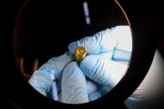 Investigação: Paraná é 2º estado que mais detectou compatibilidade balística no País