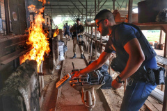 Maior apreensão de cocaína do ano: PMPR e PCPR apreendem 681 quilos na RMC