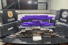 PCPR intercepta 275 quilos de drogas que seguiam para a Paraíba