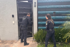 Em ação contra o tráfico de drogas, PCPR prende dois suspeitos em Piraquara