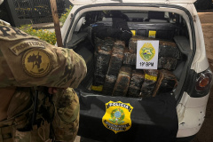 Operação conjunta da PMPR e PRF apreende 341 kg de maconha em Toledo