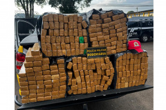 Polícia Militar apreende 200 quilos de maconha em rodovia de Francisco Beltrão