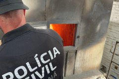 PCPR incinera mais de 15 quilos de drogas apreendidas durante o Verão Maior Paraná