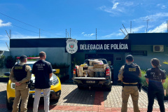 PCPR e PMPR incineram 700 quilos de drogas em Mamborê