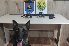 Polícia Militar apreende armas e munições em Pontal do Paraná