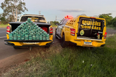 PMPR E PF apreendem 104kg de pasta base de cocaína em Cruzeiro do Oeste